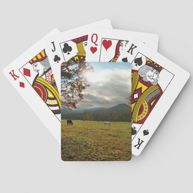 USA, Tennessee. Pferde im Höhlental Spielkarten (Rückseite)