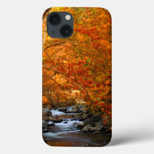 USA, Tennessee. Rushing Mountain Creek 2 Case-Mate iPhone Hülle