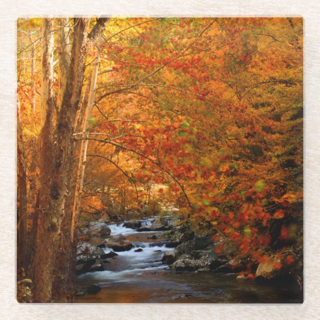 USA, Tennessee. Rushing Mountain Creek 2 Glasuntersetzer (Vorderseite)