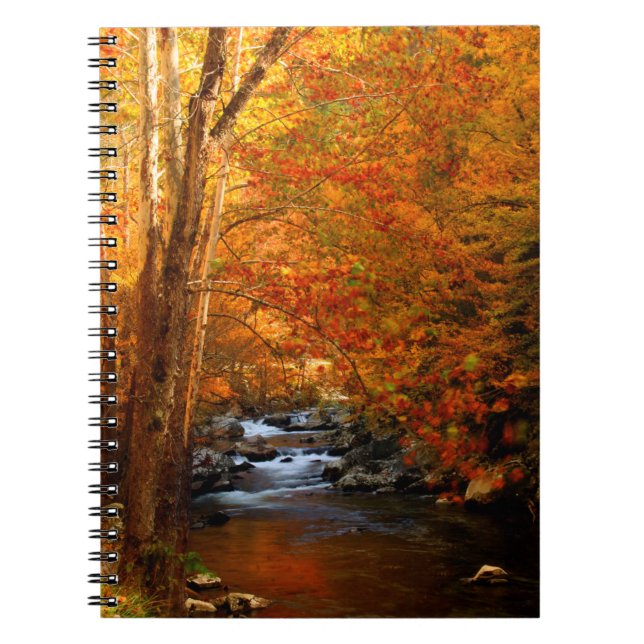 USA, Tennessee. Rushing Mountain Creek 2 Notizblock (Vorderseite)