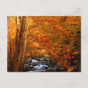 USA, Tennessee. Rushing Mountain Creek 2 Postkarte
