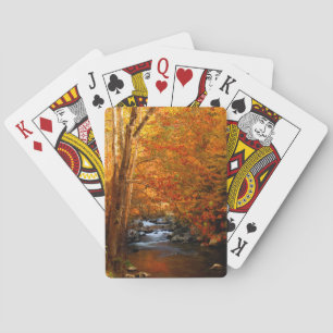 USA, Tennessee. Rushing Mountain Creek 2 Spielkarten