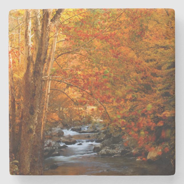 USA, Tennessee. Rushing Mountain Creek 2 Steinuntersetzer (Vorderseite)