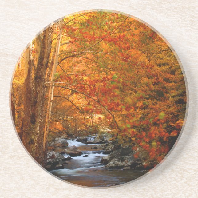 USA, Tennessee. Rushing Mountain Creek 2 Untersetzer (Vorne)