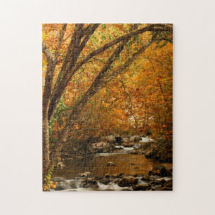 USA, Tennessee. Rushing Mountain Creek 3