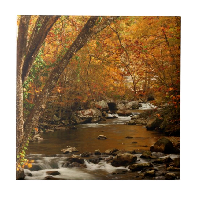 USA, Tennessee. Rushing Mountain Creek 3 Fliese (Vorderseite)