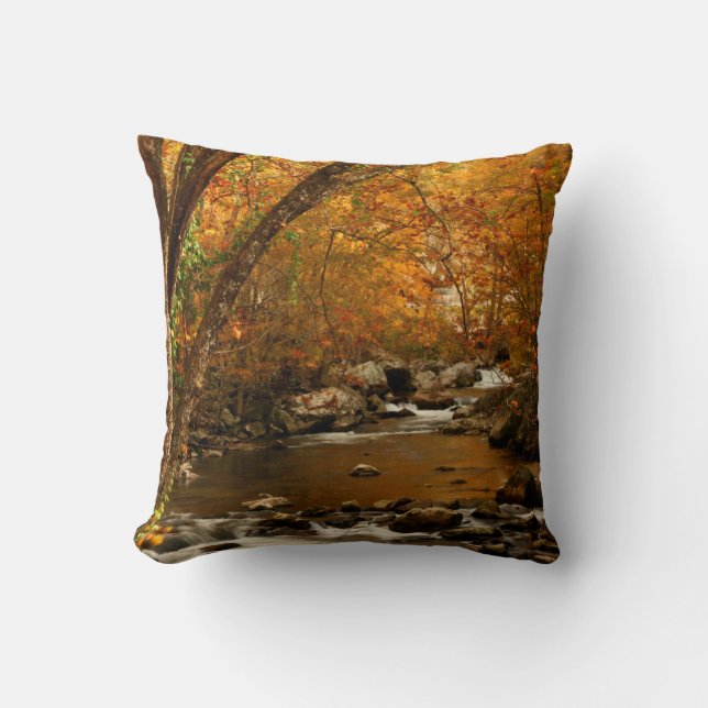 USA, Tennessee. Rushing Mountain Creek 3 Kissen (Vorderseite)