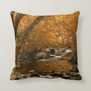 USA, Tennessee. Rushing Mountain Creek 3 Kissen