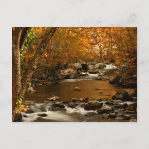 USA, Tennessee. Rushing Mountain Creek 3 Postkarte