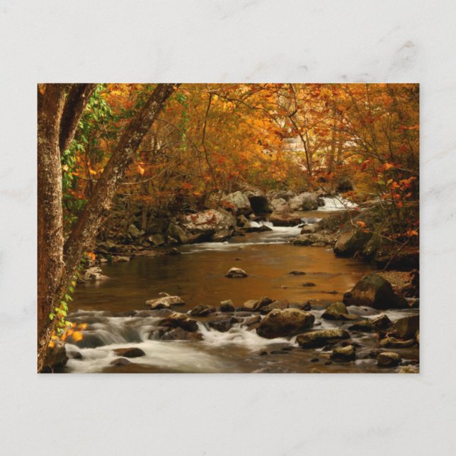 USA, Tennessee. Rushing Mountain Creek 3 Postkarte (Vorderseite)