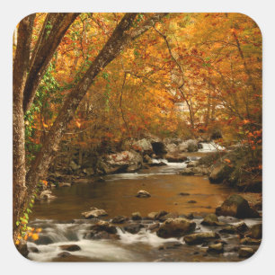 USA, Tennessee. Rushing Mountain Creek 3 Quadratischer Aufkleber