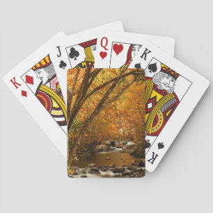 USA, Tennessee. Rushing Mountain Creek 3 Spielkarten
