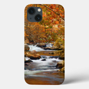 USA, Tennessee. Rushing Mountain Creek title_seo2