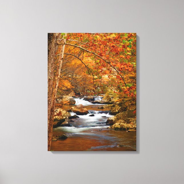 USA, Tennessee. Rushing Mountain Creek Leinwanddruck (Vorderseite)