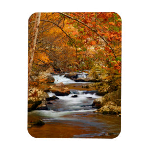 USA, Tennessee. Rushing Mountain Creek Magnet