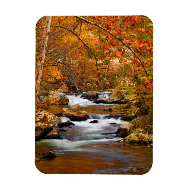 USA, Tennessee. Rushing Mountain Creek Magnet (Vertikal)