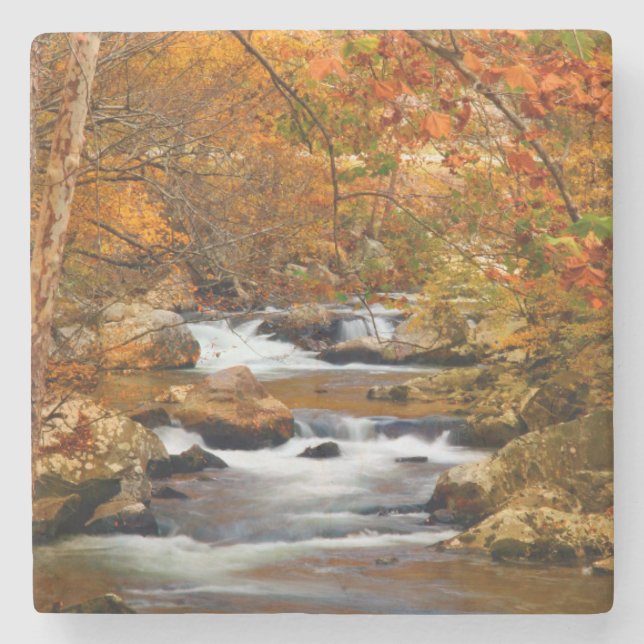 USA, Tennessee. Rushing Mountain Creek Steinuntersetzer (Vorderseite)