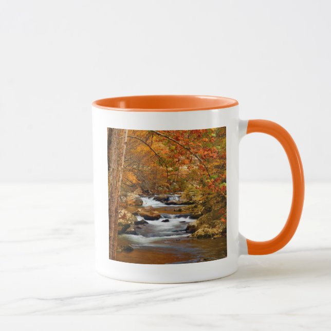 USA, Tennessee. Rushing Mountain Creek Tasse (Rechts)