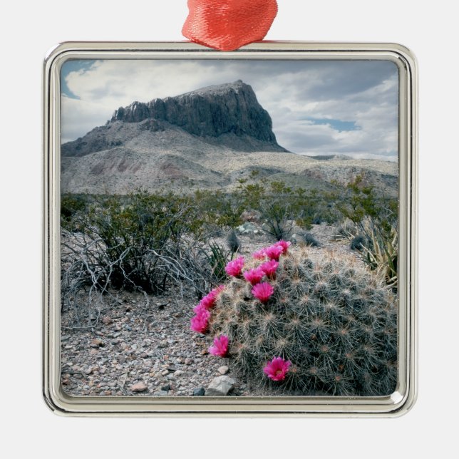 USA, Texas, Big Bend National Park.Blühen Ornament Aus Metall (Vorne)