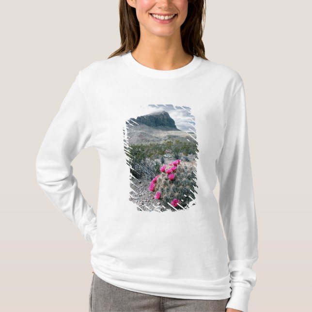 USA, Texas, Big Bend National Park.Blühen T-Shirt (Vorderseite)