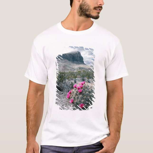 USA, Texas, Big Bend National Park.Blühen T-Shirt (Vorderseite)