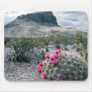 USA, Texas, Big Bend National Park. Blüht Mousepad