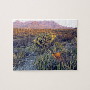USA, Texas, Big Bend NP. Ein sandiger rosa Abend