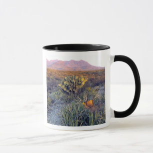 USA, Texas, Big Bend NP. Ein sandiger rosa Abend Tasse