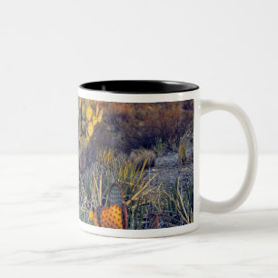 USA, Texas, Big Bend NP. Ein sandiger rosa Abend Zweifarbige Tasse