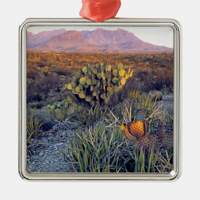 USA, Texas, Big Bend NP. Sandrosa Dämmerung Silbernes Ornament (Vorne)