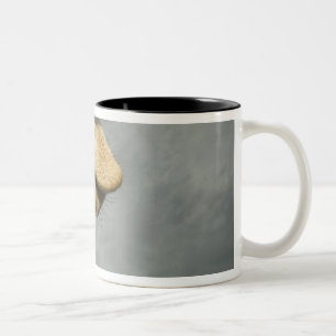 USA, Texas, Fossil Rim Wildlife Area, Giraffe Zweifarbige Tasse