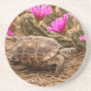 USA, Texas, Hidalgo County. Landschildkröte Getränkeuntersetzer