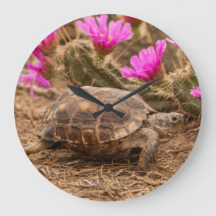 USA, Texas, Hidalgo County. Schildkröte Große Wanduhr