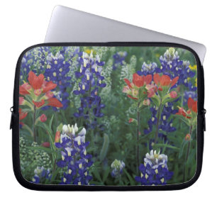 USA, Texas Hill Country. Blaue Lupinen und Laptopschutzhülle