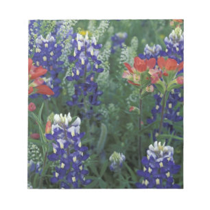 USA, Texas Hill Country. Blaue Lupinen und Notizblock