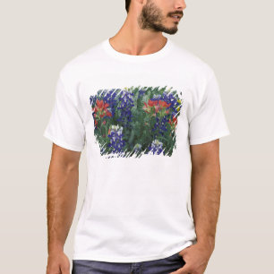 USA, Texas Hill Country. Blaue Lupinen und T-Shirt