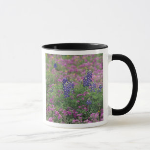 USA, Texas Hill Country. Blaue Lupinen unter Phlox Tasse