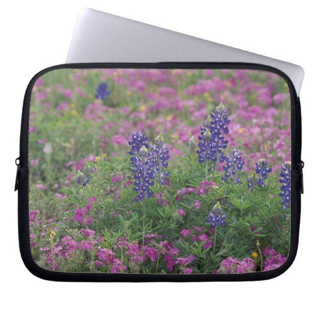 USA, Texas Hill Country. Bluebonnets Laptopschutzhülle (Vorderseite)