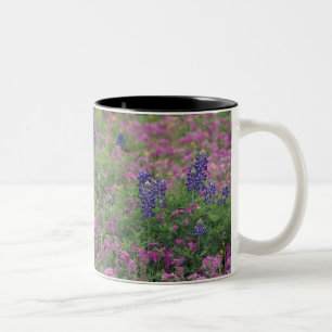 USA, Texas Hill Country. Bluebonnets Zweifarbige Tasse
