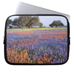 USA, Texas, Llano. Blau- und Rotkappen Laptopschutzhülle