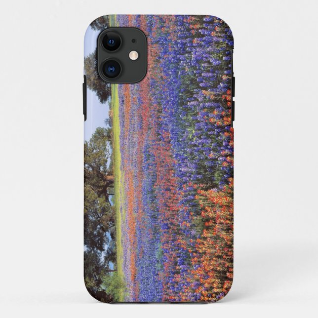 USA, Texas, Llano. Bluebonetze und Rotbonbons Case-Mate iPhone Hülle (Rückseite)