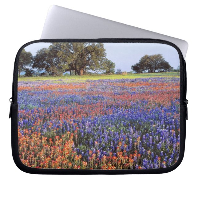 USA, Texas, Llano. Bluebonetze und Rotbonbons Laptopschutzhülle (Vorderseite)