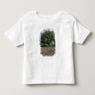USA, Texas, Marble Falls Paintbrush und Kleinkind T-shirt