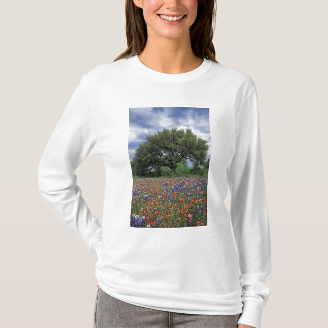 USA, Texas, Marble Falls Paintbrush und T-Shirt (Vorderseite)