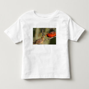 USA, Texas, Rio Grande Valley, McAllen. Gepaart Kleinkind T-shirt