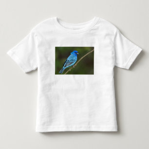 USA, Texas, South Padre Island Kleinkind T-shirt