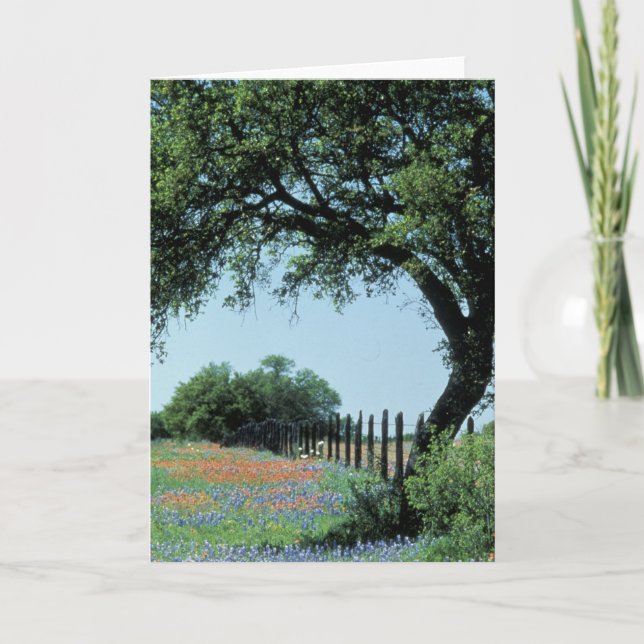 USA, Texas, Texas Hill Country Paintbrush und Karte (Vorderseite)