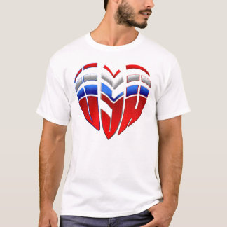 USA trägt Mann- und Frauenstaat-Flagge USA zur T-Shirt