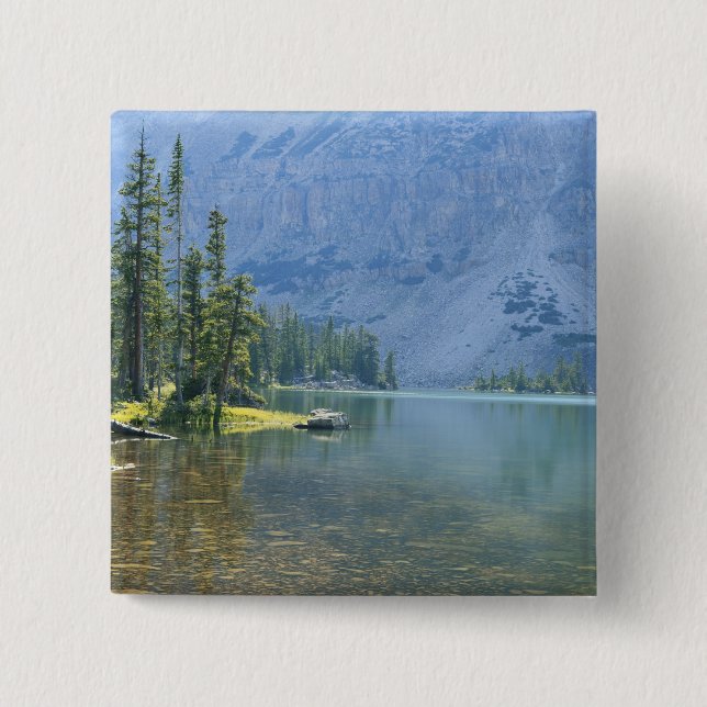 USA, Utah, Ashley National Forest, High Uintas Button (Vorderseite)