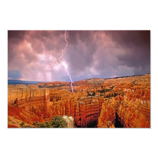 USA, Utah, Bryce Canyon National Park. Fotodruck (Vorne)